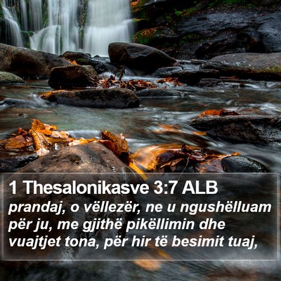 1 Thesalonikasve 3:7 ALB Bible Verse Image