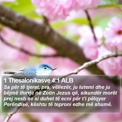 1 Thesalonikasve 4:1 ALB Bible Verse Image
