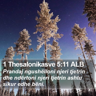 1 Thesalonikasve 5:11 ALB Bible Verse Image