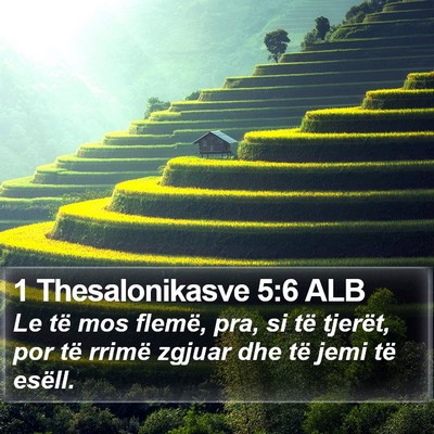 1 Thesalonikasve 5:6 ALB Bible Verse Image