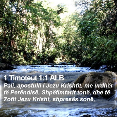 1 Timoteut 1:1 ALB Bible Verse Image