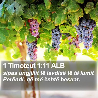1 Timoteut 1:11 ALB Bible Verse Image