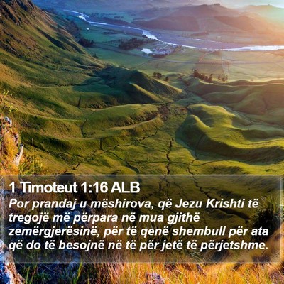 1 Timoteut 1:16 ALB Bible Verse Image