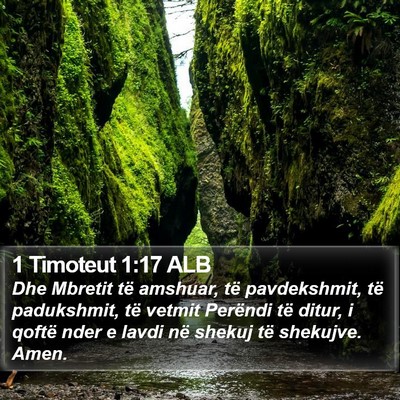 1 Timoteut 1:17 ALB Bible Verse Image