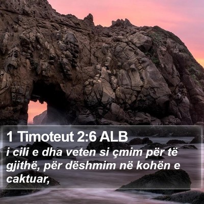 1 Timoteut 2:6 ALB Bible Verse Image