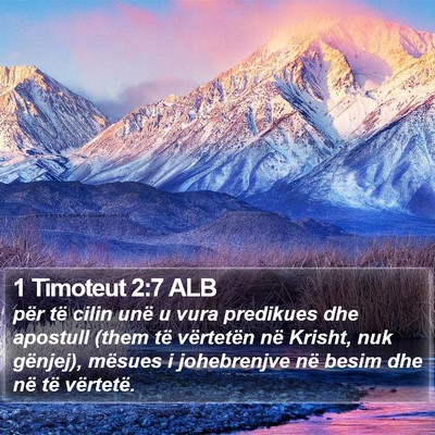 1 Timoteut 2:7 ALB Bible Verse Image