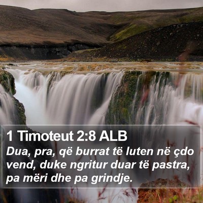 1 Timoteut 2:8 ALB Bible Verse Image