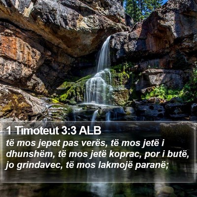 1 Timoteut 3:3 ALB Bible Verse Image