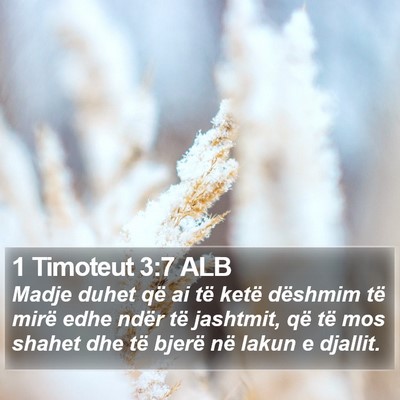 1 Timoteut 3:7 ALB Bible Verse Image