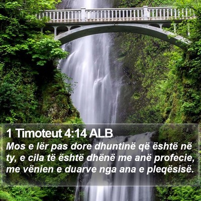 1 Timoteut 4:14 ALB Bible Verse Image