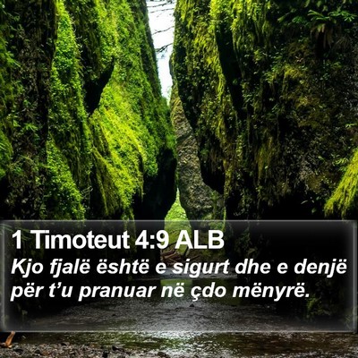1 Timoteut 4:9 ALB Bible Verse Image