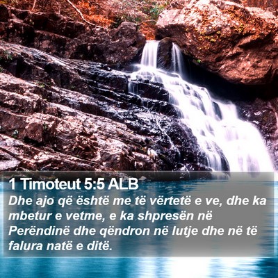 1 Timoteut 5:5 ALB Bible Verse Image