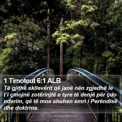 1 Timoteut 6:1 ALB Bible Verse Image