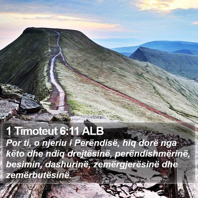 1 Timoteut 6:11 ALB Bible Verse Image