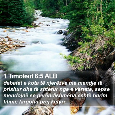 1 Timoteut 6:5 ALB Bible Verse Image