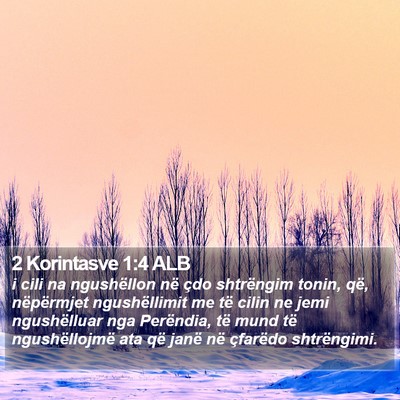 2 Korintasve 1:4 ALB Bible Verse Image