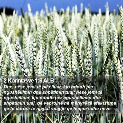 2 Korintasve 1:6 ALB Bible Verse Image