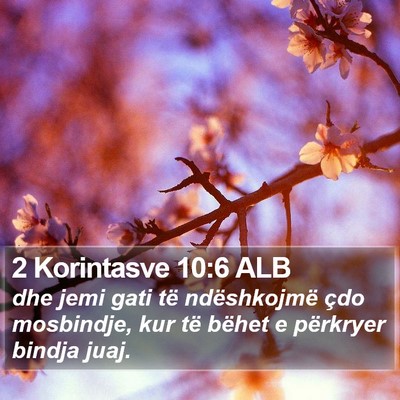 2 Korintasve 10:6 ALB Bible Verse Image
