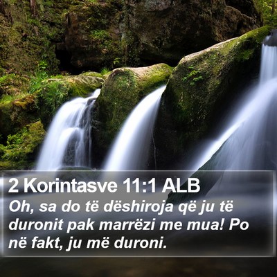 2 Korintasve 11:1 ALB Bible Verse Image