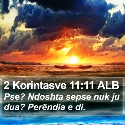 2 Korintasve 11:11 ALB Bible Verse Image