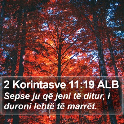 2 Korintasve 11:19 ALB Bible Verse Image