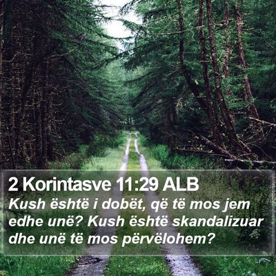 2 Korintasve 11:29 ALB Bible Verse Image