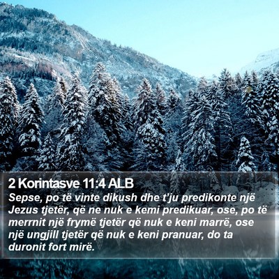2 Korintasve 11:4 ALB Bible Verse Image