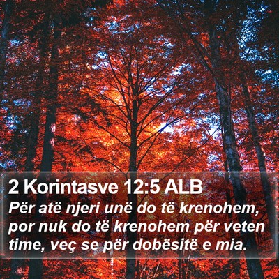 2 Korintasve 12:5 ALB Bible Verse Image