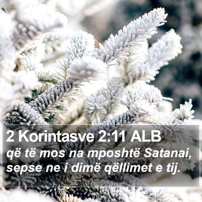2 Korintasve 2:11 ALB Bible Verse Image