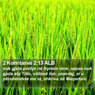 2 Korintasve 2:13 ALB Bible Verse Image