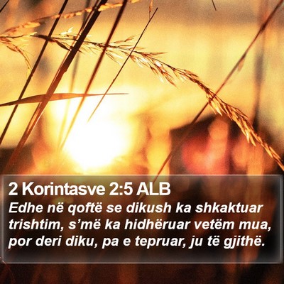 2 Korintasve 2:5 ALB Bible Verse Image