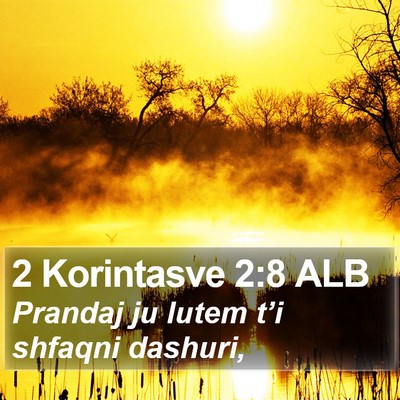 2 Korintasve 2:8 ALB Bible Verse Image