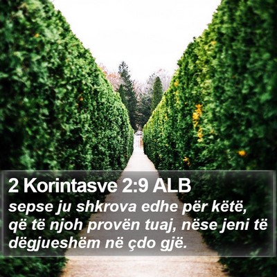 2 Korintasve 2:9 ALB Bible Verse Image