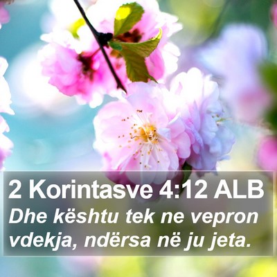 2 Korintasve 4:12 ALB Bible Verse Image