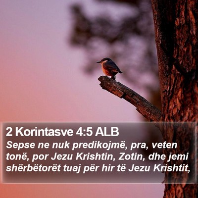 2 Korintasve 4:5 ALB Bible Verse Image