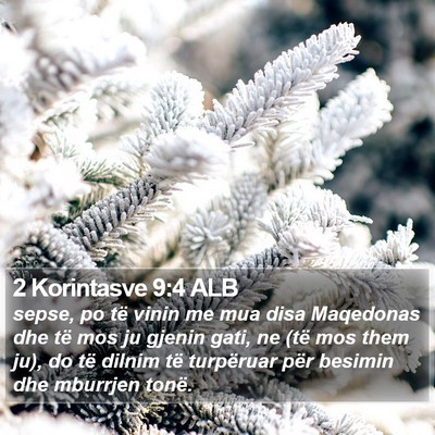 2 Korintasve 9:4 ALB Bible Verse Image
