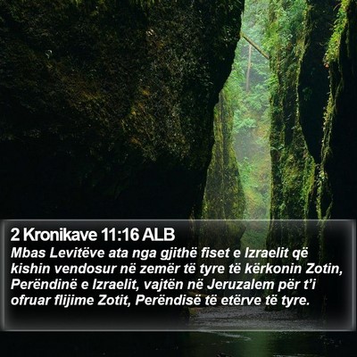 2 Kronikave 11:16 ALB Bible Verse Image