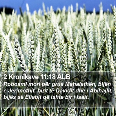 2 Kronikave 11:18 ALB Bible Verse Image