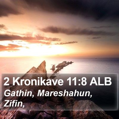 2 Kronikave 11:8 ALB Bible Verse Image