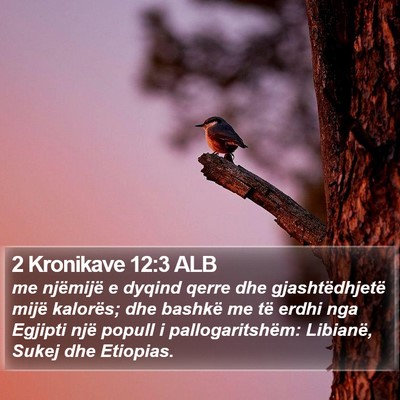 2 Kronikave 12:3 ALB Bible Verse Image