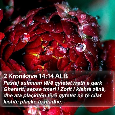 2 Kronikave 14:14 ALB Bible Verse Image