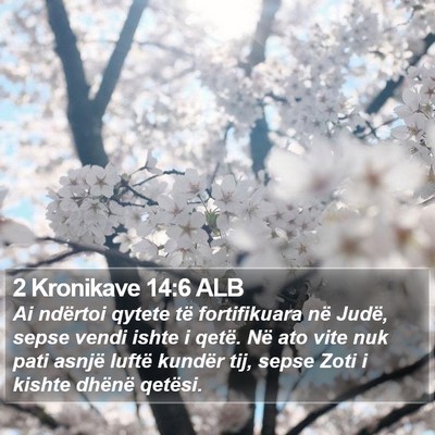 2 Kronikave 14:6 ALB Bible Verse Image