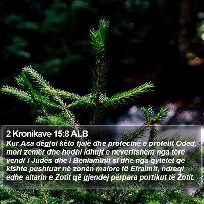 2 Kronikave 15:8 ALB Bible Verse Image