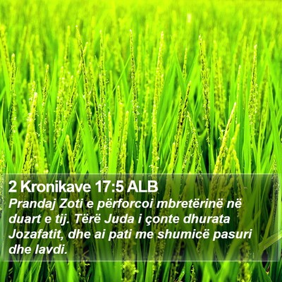 2 Kronikave 17:5 ALB Bible Verse Image