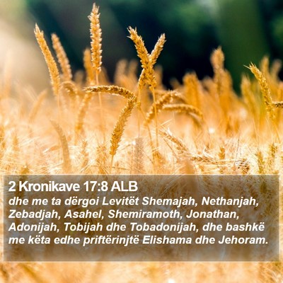 2 Kronikave 17:8 ALB Bible Verse Image