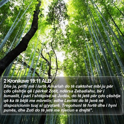 2 Kronikave 19:11 ALB Bible Verse Image