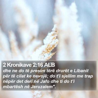 2 Kronikave 2:16 ALB Bible Verse Image