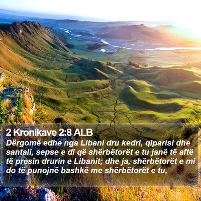2 Kronikave 2:8 ALB Bible Verse Image