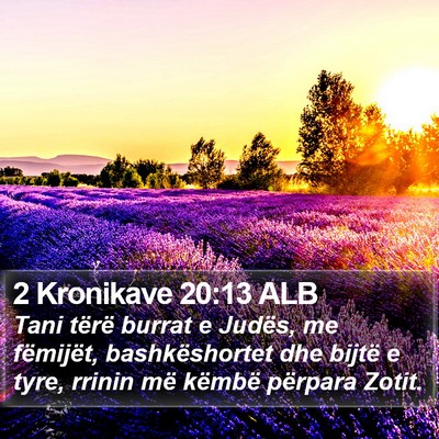 2 Kronikave 20:13 ALB Bible Verse Image