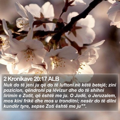 2 Kronikave 20:17 ALB Bible Verse Image